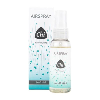 CHI Smell well airspray