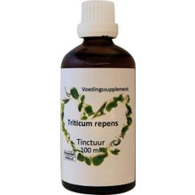 Foto van Triticum repens