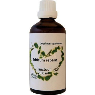 Foto van Triticum repens