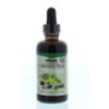 Afbeelding van Natures Answer Groene thee extract alcoholvrij met 50% EGCG