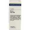 Afbeelding van VSM Allium cepa 30K