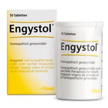 Foto van Heel Engystol