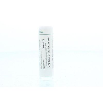 Homeoden Heel Melissa officinalis D30 Homeoden Heel Melissa officinalis D30 6 gram - Homeopathische geneesmiddelen