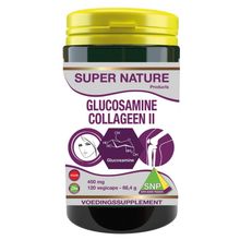 Foto van SNP Glucosamine collageen type II puur