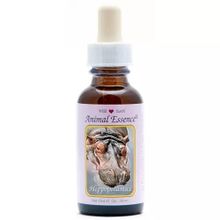 Foto van Animal Essences Hippopotamus (nijlpaard)