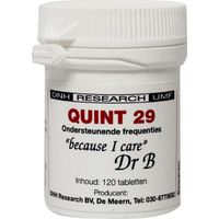 DNH Quint 29