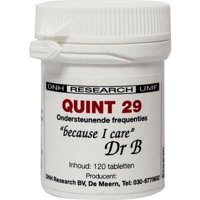 DNH Quint 29