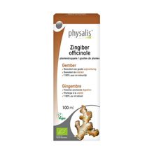 Foto van Physalis Zingiber officinale bio