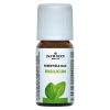 Afbeelding van Basilicum olie