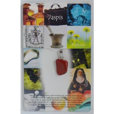 Hanger gezondheidssteen jaspis rood 1 stuks - 