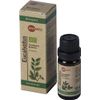 Afbeelding van Aromed Eucalyptus olie bio