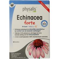 Physalis Echinacea forte