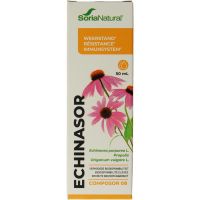 Soria Composor 8 echinasor XXI