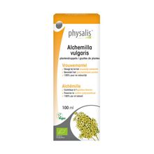 Foto van Physalis Alchemilla vulgaris bio