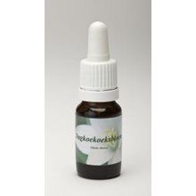 Foto van Dagkoekoeksbloem