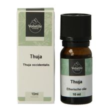 Foto van Volatile Thuja