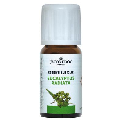 Jacob Hooy Eucalyptus radiata olie