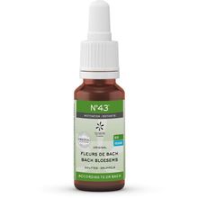 Foto van Lemonpharma Bach Bach bloesems mengeling 43 motivatie