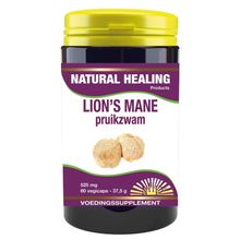 Foto van NHP Lions mane (pruikzwam)