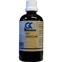 Foto van Ilex aquafolium