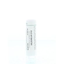 Foto van Homeoden Heel Mezereum D12