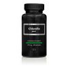 Afbeelding van Apb Holland Chlorella extra puur 250mg