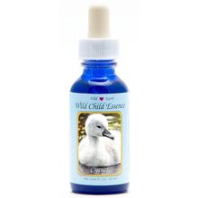 Foto van Animal Essences Cygnet (zwaan kuiken)