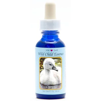 Animal Essences Cygnet (zwaan kuiken)