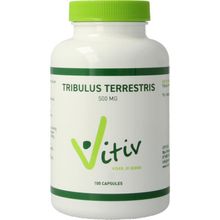 Foto van Vitiv Tribulus terrestris