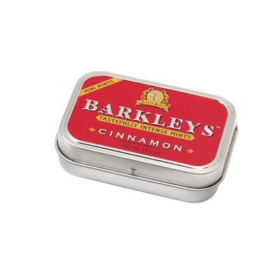 Mints cinnamon sugarfree 15 gram - Snoepgoed suikervrij