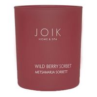 Joik Geurkaars wild berry sorbet vegan