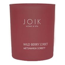 Foto van Joik Geurkaars wild berry sorbet vegan