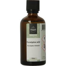 Foto van Volatile Eucalyptus wild