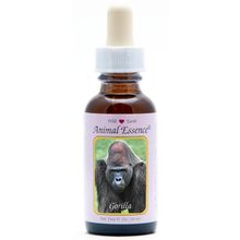 Foto van Animal Essences Gorilla