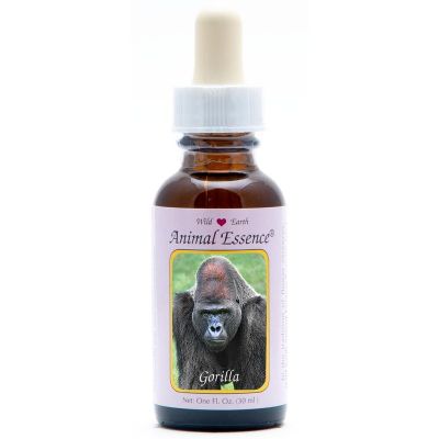 Animal Essences Gorilla