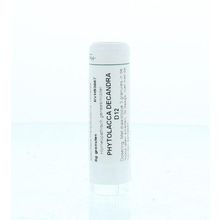 Foto van Homeoden Heel Phytolacca decandra D12