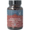 Afbeelding van Terranova Astragalus elderberry & garlic complex
