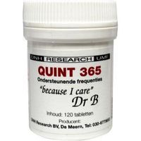 DNH Quint 365