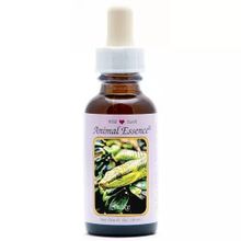 Foto van Animal Essences Snake (slang)