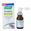 Afbeelding van A Vogel Oorspray oorsmeer