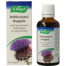 Foto van A Vogel Boldocynara