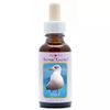 Afbeelding van Animal Essences Seagull (zeemeeuw)