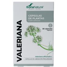 Foto van Soria Valeriana XXI 34-S