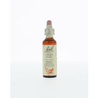 Cherry plum / kerspruim