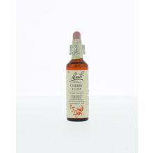 Foto van Cherry plum / kerspruim