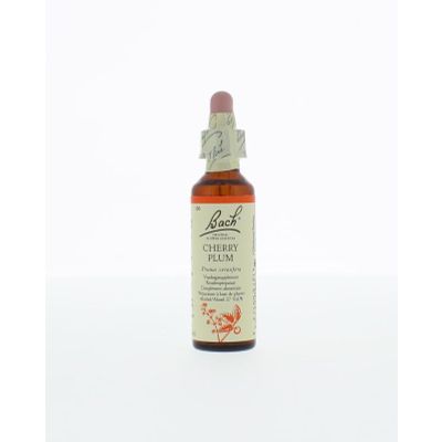 Foto van Cherry plum / kerspruim