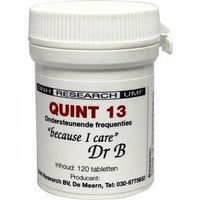 DNH Quint 13