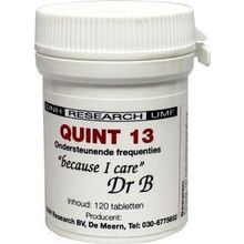 Foto van DNH Quint 13