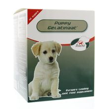 Foto van Primeval Gelatinaat puppy