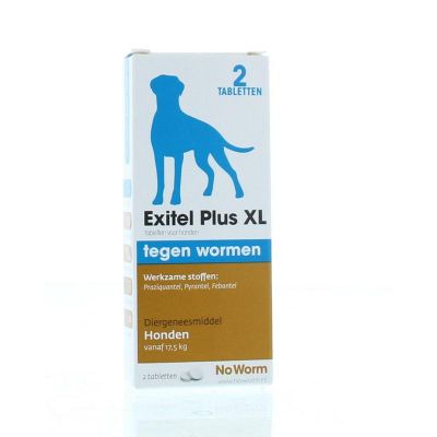 Exil No worm hond large